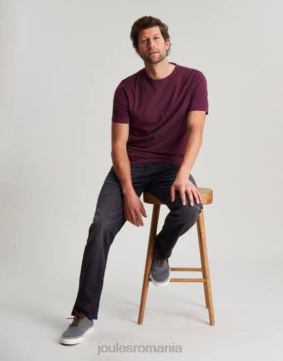 Joules bărbați tricou din tricou denton 48DH251 îmbrăcăminte Burgundia | Joules cizme