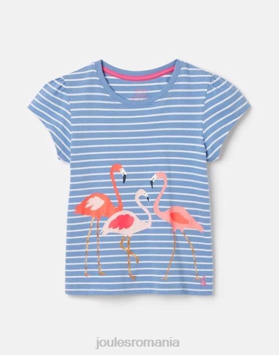 flamingo cu dungi albastre